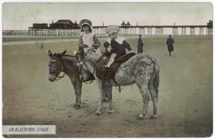 Gerahmter Druck : Esel in Blackpool Gerahmter Druck : Esel in Blackpool