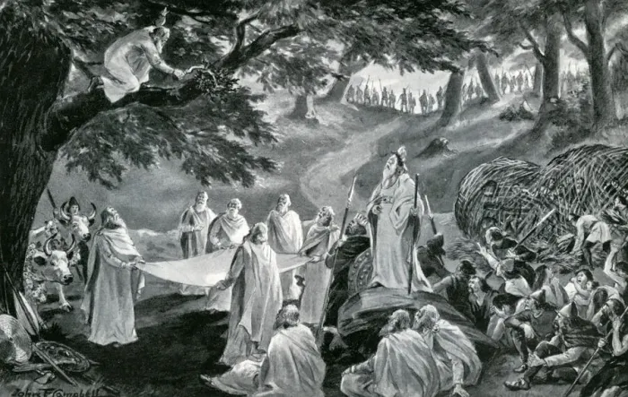 Gerahmter Druck : Die Druiden schneiden Mistletoe Gerahmter Druck : Die Druiden schneiden Mistletoe