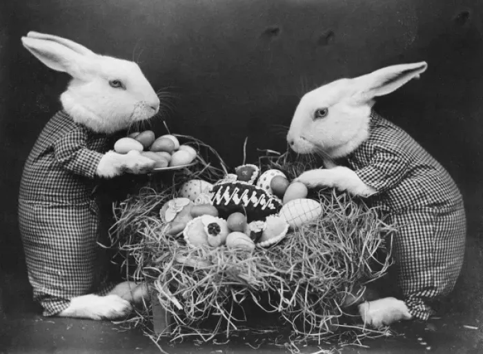 Gerahmter Druck : Osterhasen und Eier Gerahmter Druck : Osterhasen und Eier