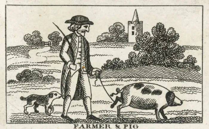 Gerahmter Druck : Bauer und Schwein Gerahmter Druck : Bauer und Schwein