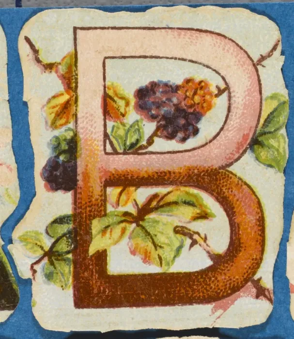 Gerahmter Druck : FLOWER B. Blumenlose B Gerahmter Druck : FLOWER B. Blumenlose B