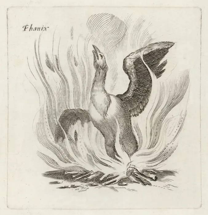 Gerahmter Druck : Völkergeschichte / Vögel / Phönix Gerahmter Druck : Völkergeschichte / Vögel / Phönix