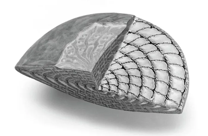 Gerahmter Druck : Fornifera-Modell Gerahmter Druck : Fornifera-Modell
