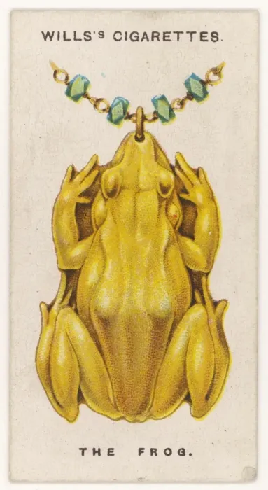 Gerahmter Druck : Käfer-Amulett Gerahmter Druck : Käfer-Amulett