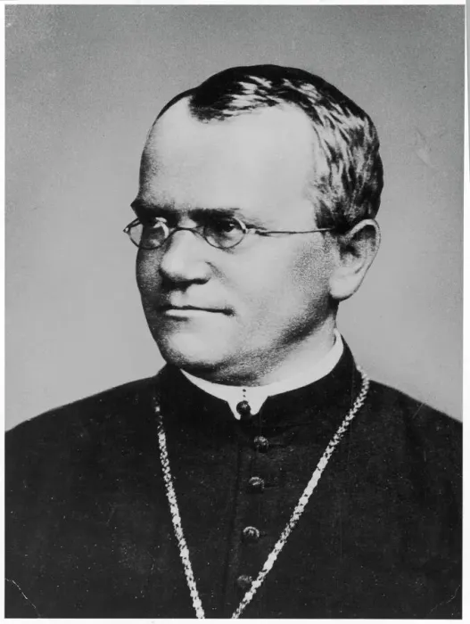 Gerahmter Druck : Gregor Mendel Gerahmter Druck : Gregor Mendel