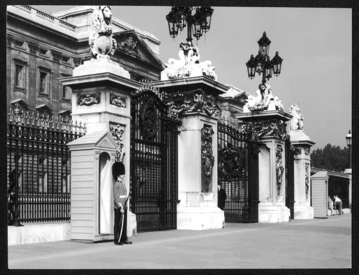 Gerahmter Druck : Wachmann / Buckingham-Palast Gerahmter Druck : Wachmann / Buckingham-Palast