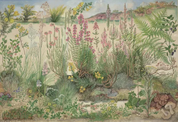 Gerahmter Druck : Heathland. Ursprüngliche Kunstwerke für Heathland von Barbara Nicholson Gerahmter Druck : Heathland. Ursprüngliche Kunstwerke für Heathland von Barbara Nicholson