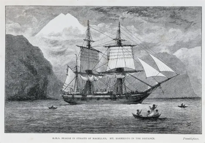 Gerahmter Druck : RMS Beagle Gerahmter Druck : RMS Beagle