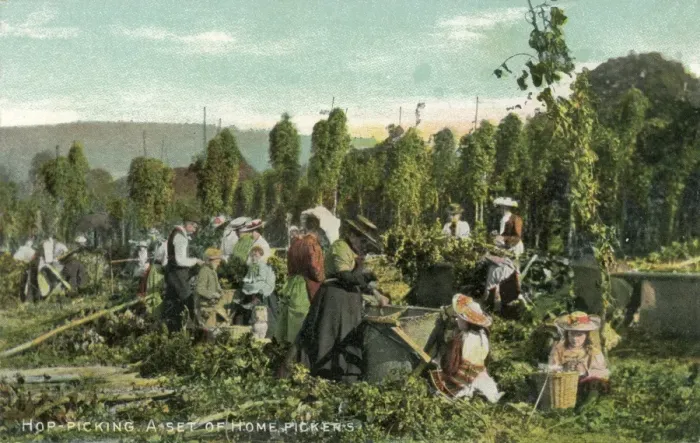 Gerahmter Druck : Hüttenschnitter Gerahmter Druck : Hüttenschnitter