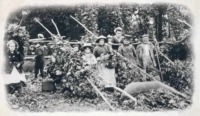 Gerahmter Druck : Hügler Pflücker 1900 Gerahmter Druck : Hügler Pflücker 1900