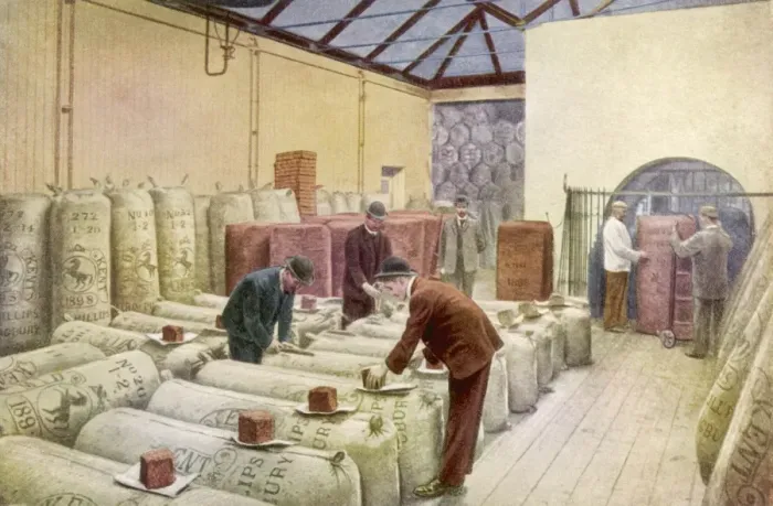 Gerahmter Druck : Hopsampling bei Guinness Gerahmter Druck : Hopsampling bei Guinness