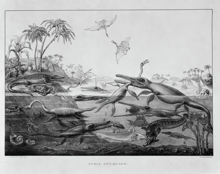 Gerahmter Druck : Ichthysaurier, Pliosaurier, Pterodaktilos Gerahmter Druck : Ichthysaurier, Pliosaurier, Pterodaktilos
