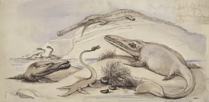 Gerahmter Druck : Ichthyo-Saurier, Pleisio-Saurier, Stenosaurier und ein weiterer Meer-Tiere Gerahmter Druck : Ichthyo-Saurier, Pleisio-Saurier, Stenosaurier und ein weiterer Meer-Tiere