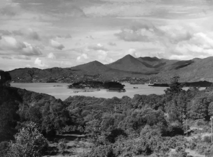 Gerahmter Druck : Irland / Glengariff Gerahmter Druck : Irland / Glengariff