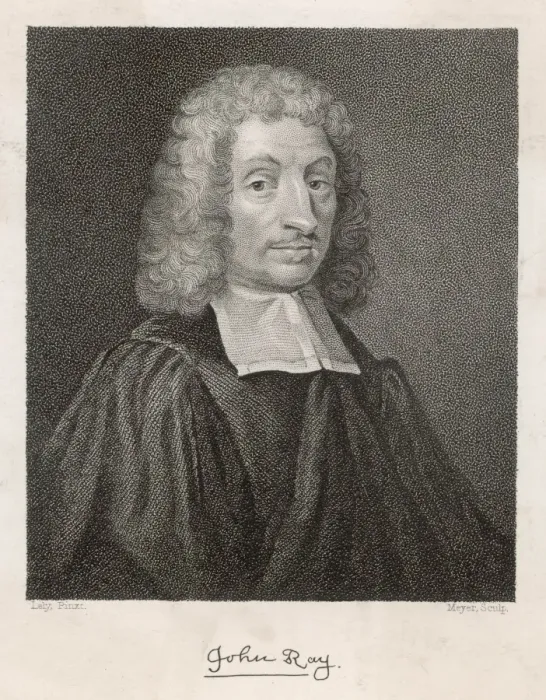 Gerahmter Druck : John Ray / Meyer Engineering Gerahmter Druck : John Ray / Meyer Engineering