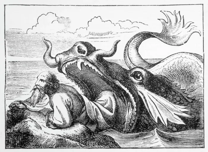 Gerahmter Druck : Jonah wurde vom Wal freigelassen Gerahmter Druck : Jonah wurde vom Wal freigelassen