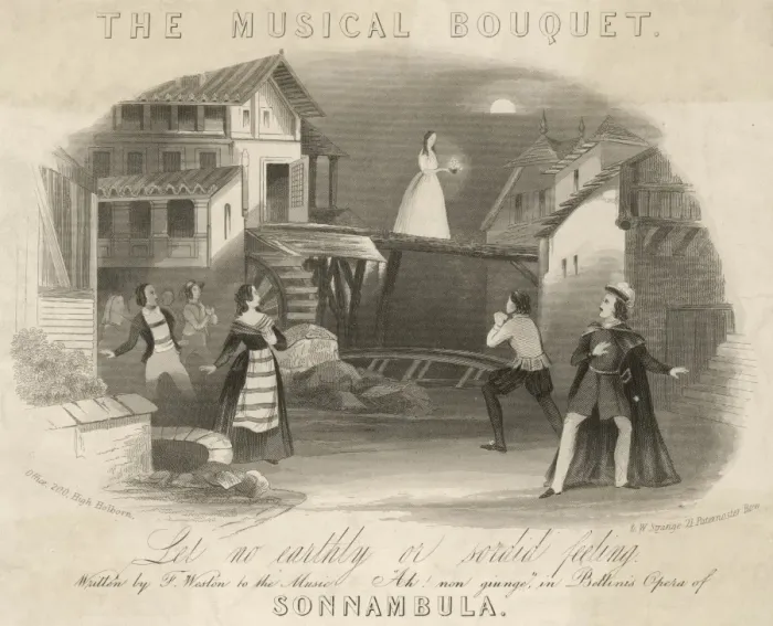 Gerahmter Druck : Die Sonnambula Gerahmter Druck : Die Sonnambula