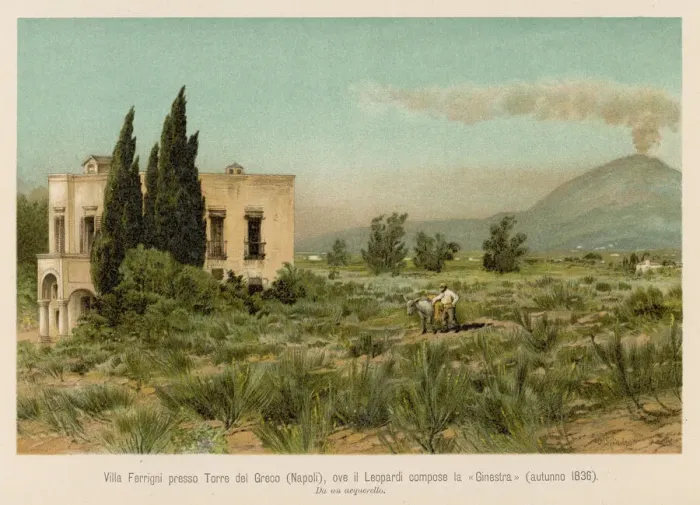 Gerahmter Druck : Villa Ferrigni / Leopardi Gerahmter Druck : Villa Ferrigni / Leopardi