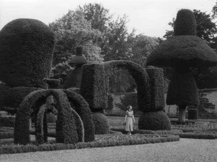 Gerahmter Druck : Lebenshalle, Gartentopirium Gerahmter Druck : Lebenshalle, Gartentopirium