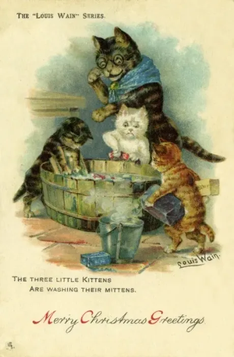 Gerahmter Druck : Zwei kleine Katzen und ein kleiner Kater Gerahmter Druck : Zwei kleine Katzen und ein kleiner Kater