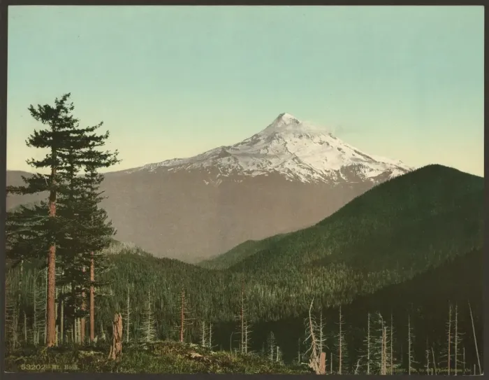 Gerahmter Druck : Mount Hood Gerahmter Druck : Mount Hood