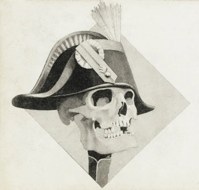 Gerahmter Druck : Napoléon's Schädel Gerahmter Druck : Napoléon's Schädel