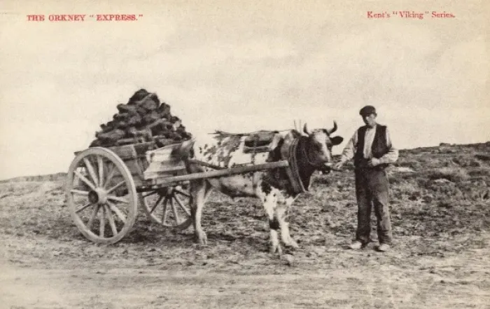 Gerahmter Druck : Die Orkney-Express Gerahmter Druck : Die Orkney-Express