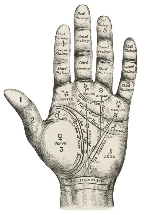 Gerahmter Druck : Handpalmkarte Gerahmter Druck : Handpalmkarte