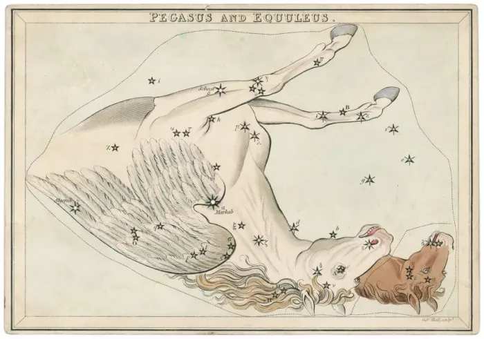Gerahmter Druck : Pegasussternkarte Gerahmter Druck : Pegasussternkarte