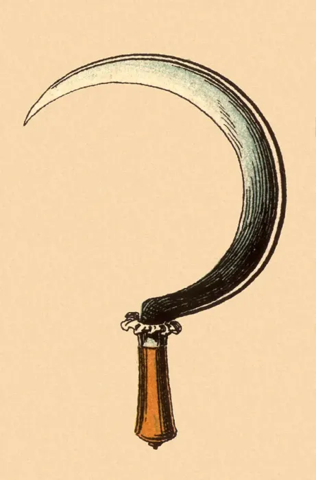 Gerahmter Druck : Schneidbrett Datum: 1880 Gerahmter Druck : Schneidbrett Datum: 1880