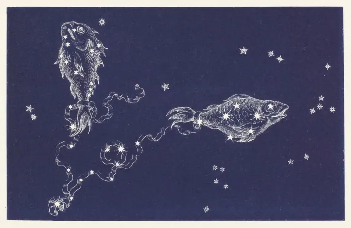 Gerahmter Druck : Pisces. Die Konstellation Piscis
