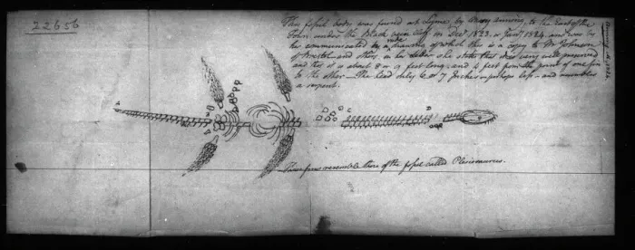 Gerahmter Druck : Plesiosaurus Gerahmter Druck : Plesiosaurus