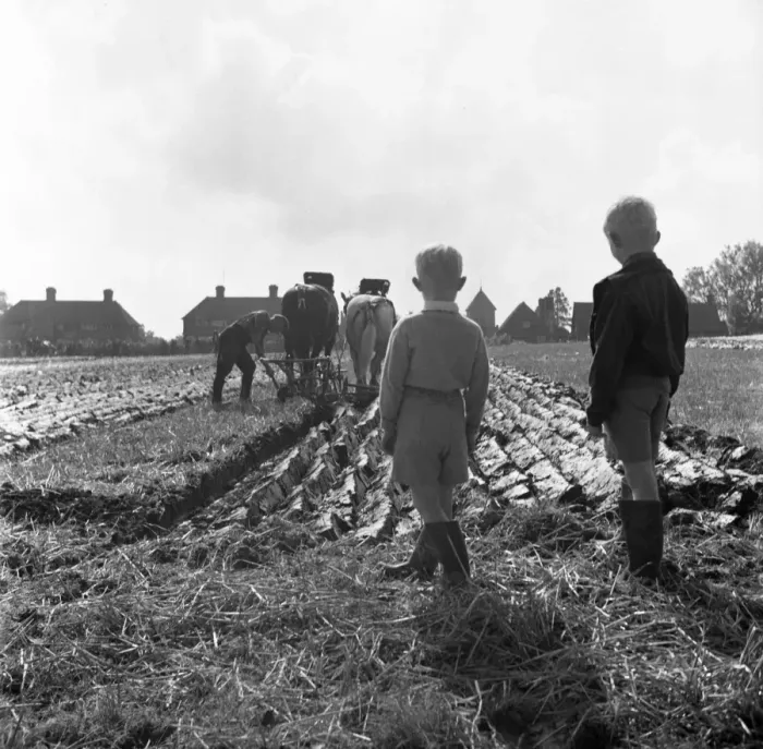 Gerahmter Druck : Pflugwettbewerb, England Gerahmter Druck : Pflugwettbewerb, England