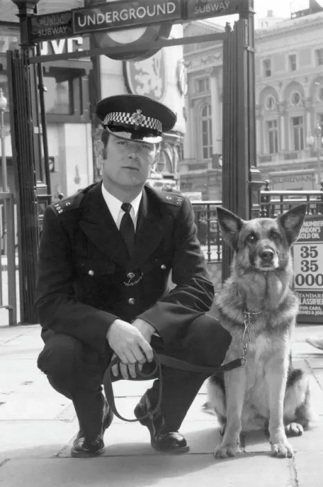 Gerahmter Druck : Polizeihundehalter Gerahmter Druck : Polizeihundehalter