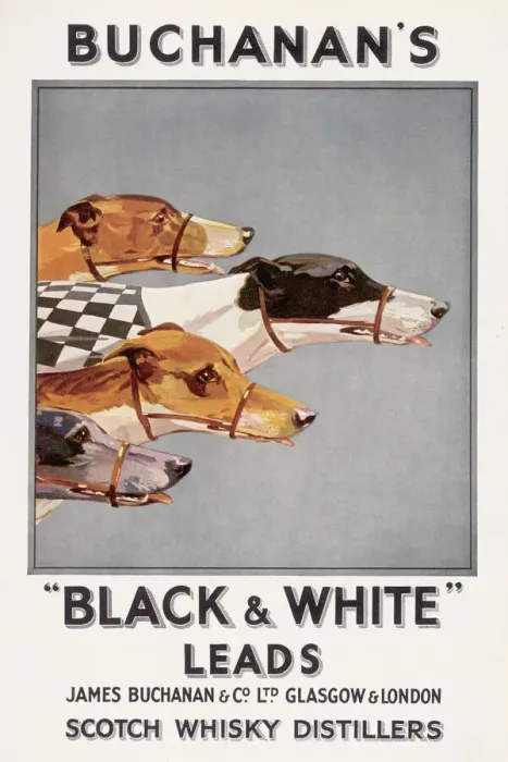 Gerahmter Druck : Buchanan's Whisky-Werbung Gerahmter Druck : Buchanan's Whisky-Werbung