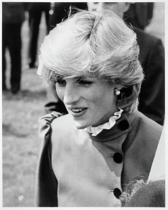 Gerahmter Druck : Prinzessin Diana Gerahmter Druck : Prinzessin Diana