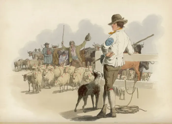 Gerahmter Druck : Pyne - Reiter Gerahmter Druck : Pyne - Reiter