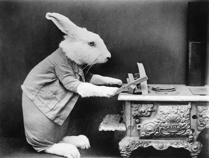 Gerahmter Druck : Ein Hase am Herd Gerahmter Druck : Ein Hase am Herd