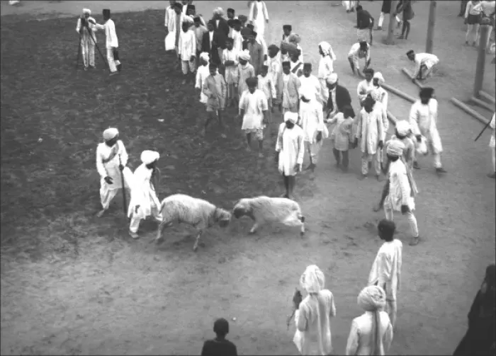 Gerahmter Druck : Ramschlagen in Indien Gerahmter Druck : Ramschlagen in Indien