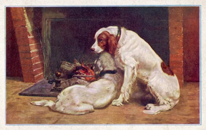 Gerahmter Druck : Zwei Rot-Weiß-Schüterhunde Gerahmter Druck : Zwei Rot-Weiß-Schüterhunde
