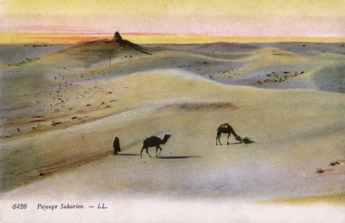 Gerahmter Druck : Der Sahara-Desert