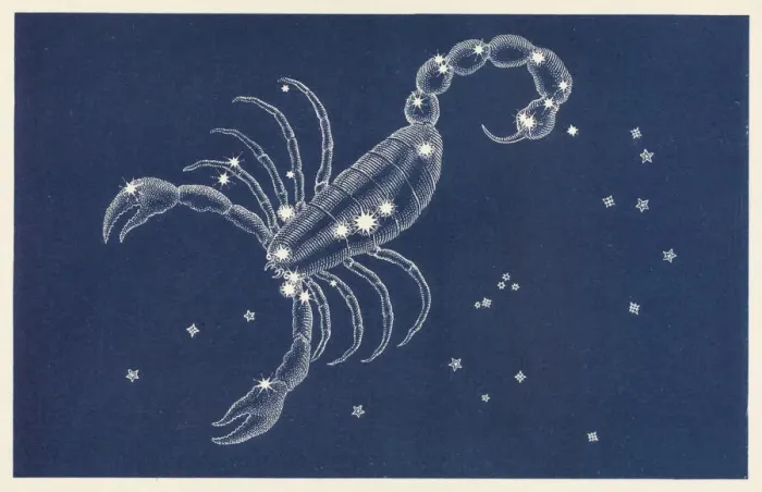 Gerahmter Druck : Scorpio. Die Konstellation Skorpion Gerahmter Druck : Scorpio. Die Konstellation Skorpion