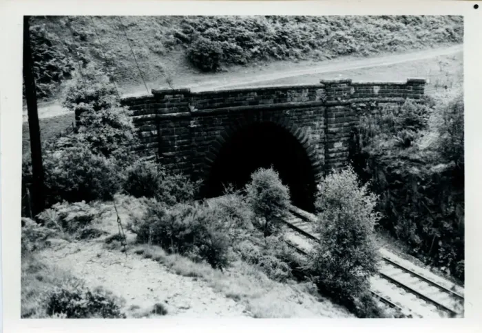 Gerahmter Druck : Befahren Sie den Bahnhofsetzungsstunnel von Carlisle zu Baronen-Wood in Kumbrien Gerahmter Druck : Befahren Sie den Bahnhofsetzungsstunnel von Carlisle zu Baronen-Wood in Kumbrien