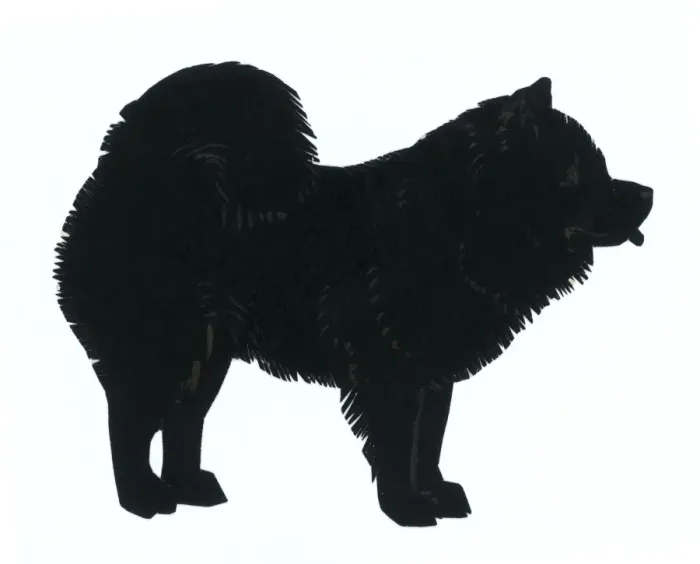 Gerahmter Druck : Schattierung eines Chow-Chows Gerahmter Druck : Schattierung eines Chow-Chows