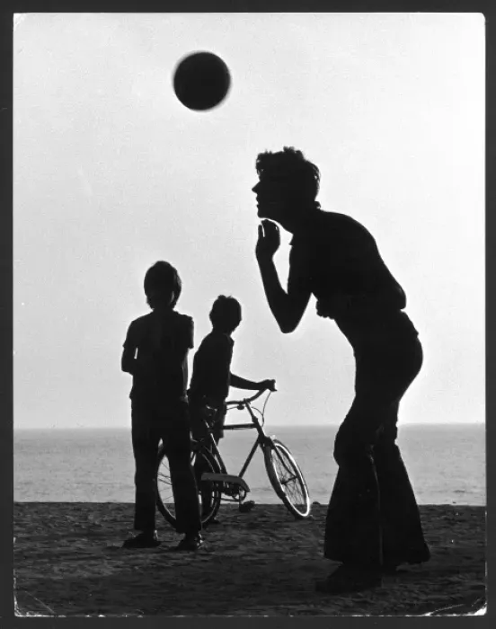 Gerahmter Druck : Silhouetten-Header Gerahmter Druck : Silhouetten-Header