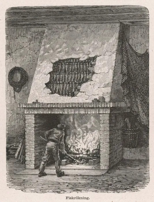 Gerahmter Druck : Gerauchter Fisch Gerahmter Druck : Gerauchter Fisch