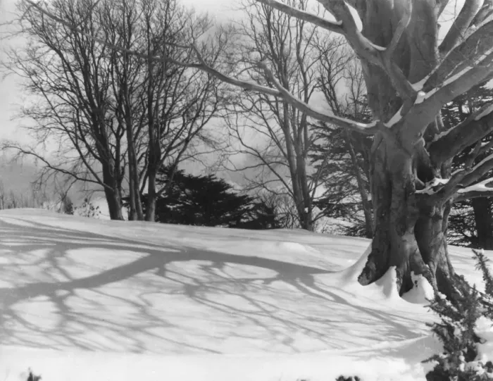 Gerahmter Druck : Schatten der Schnee Gerahmter Druck : Schatten der Schnee