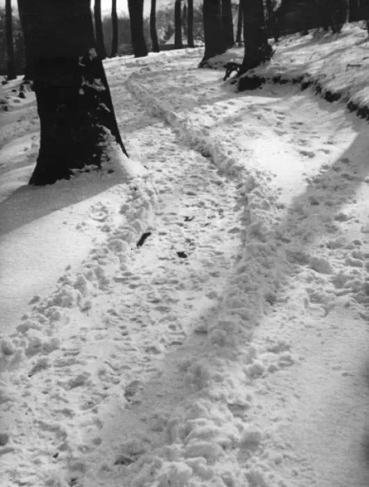 Gerahmter Druck : Schneeplatz