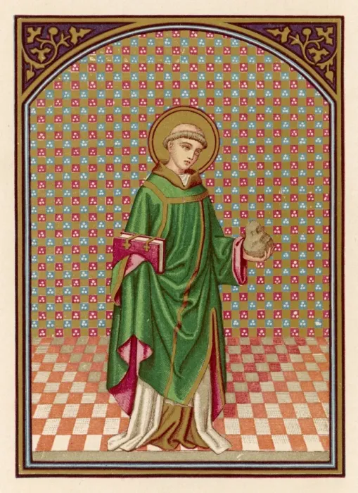 Gerahmter Druck : St Stephan / Münze Gerahmter Druck : St Stephan / Münze