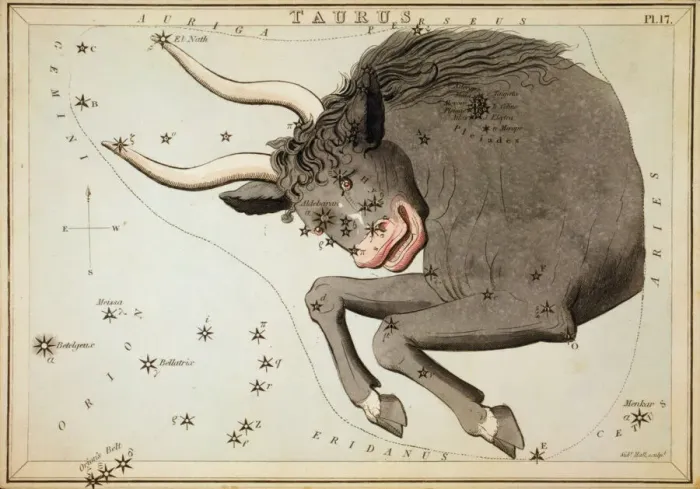 Gerahmter Druck : Taurus. Der Tauroidphonizier zeigt die Bullenkonstellation und bildet auch Gerahmter Druck : Taurus. Der Tauroidphonizier zeigt die Bullenkonstellation und bildet auch